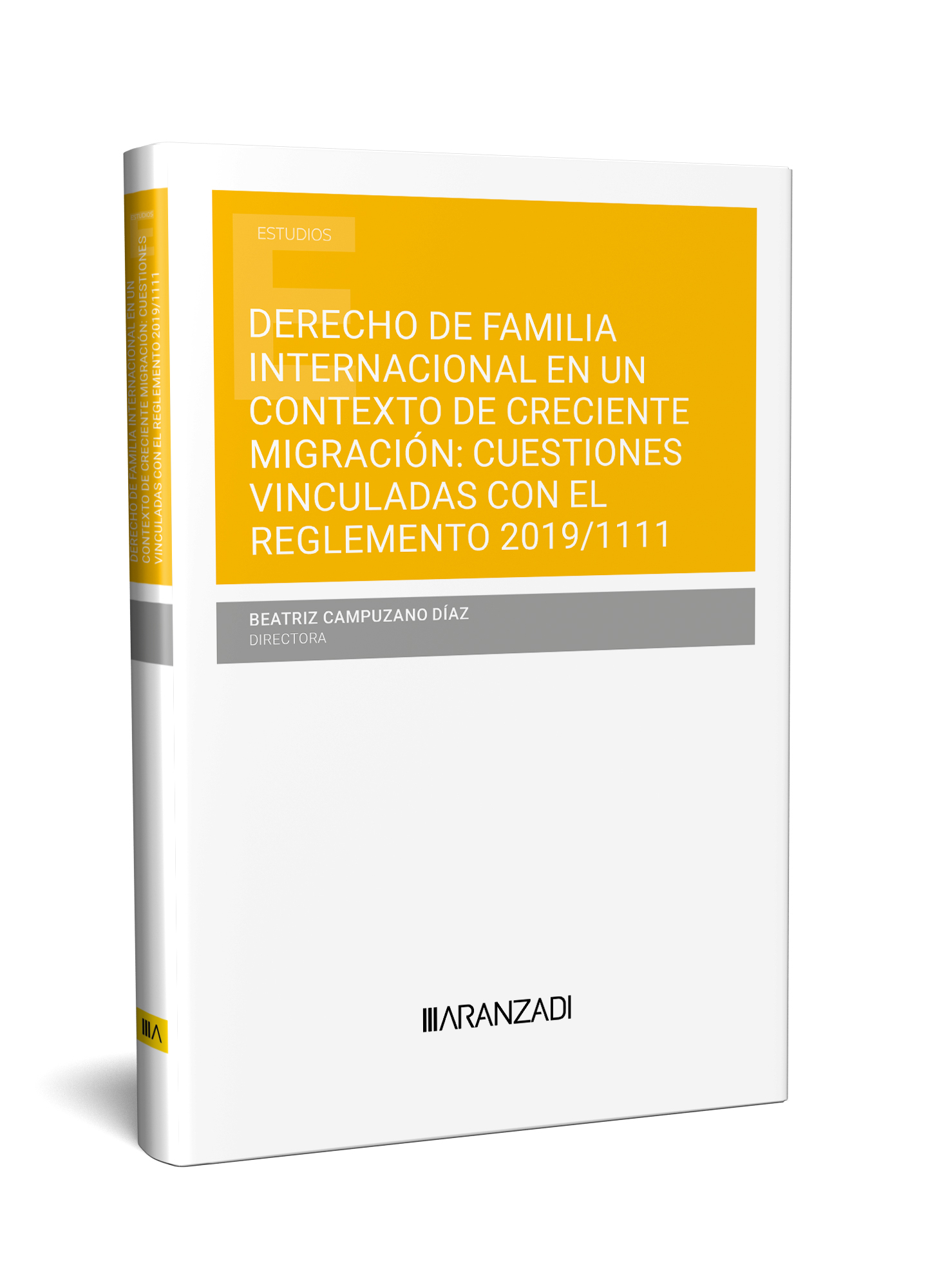 DERECHO DE FAMILIA INTERNACIONAL EN UN CONTEXTO DE CRECIENTE MIGRACIÓN: CUESTIONES VINCULADAS CON EL REGLAMENTO 2019/1111