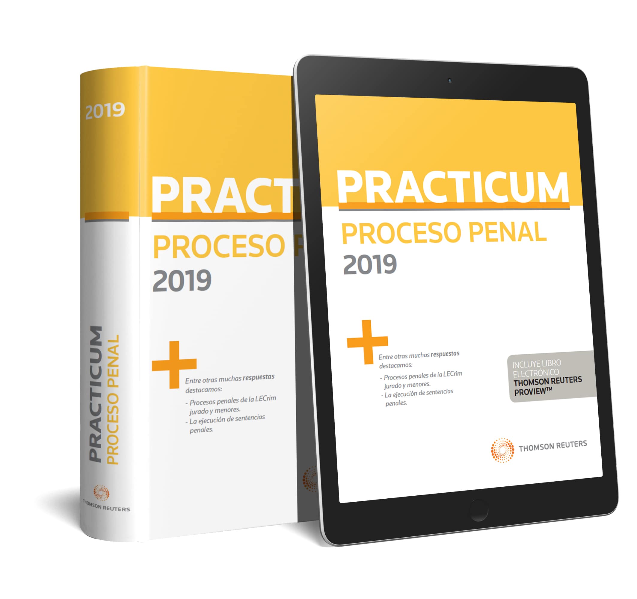 Practicum Proceso Penal 2019 (Papel + e-book)