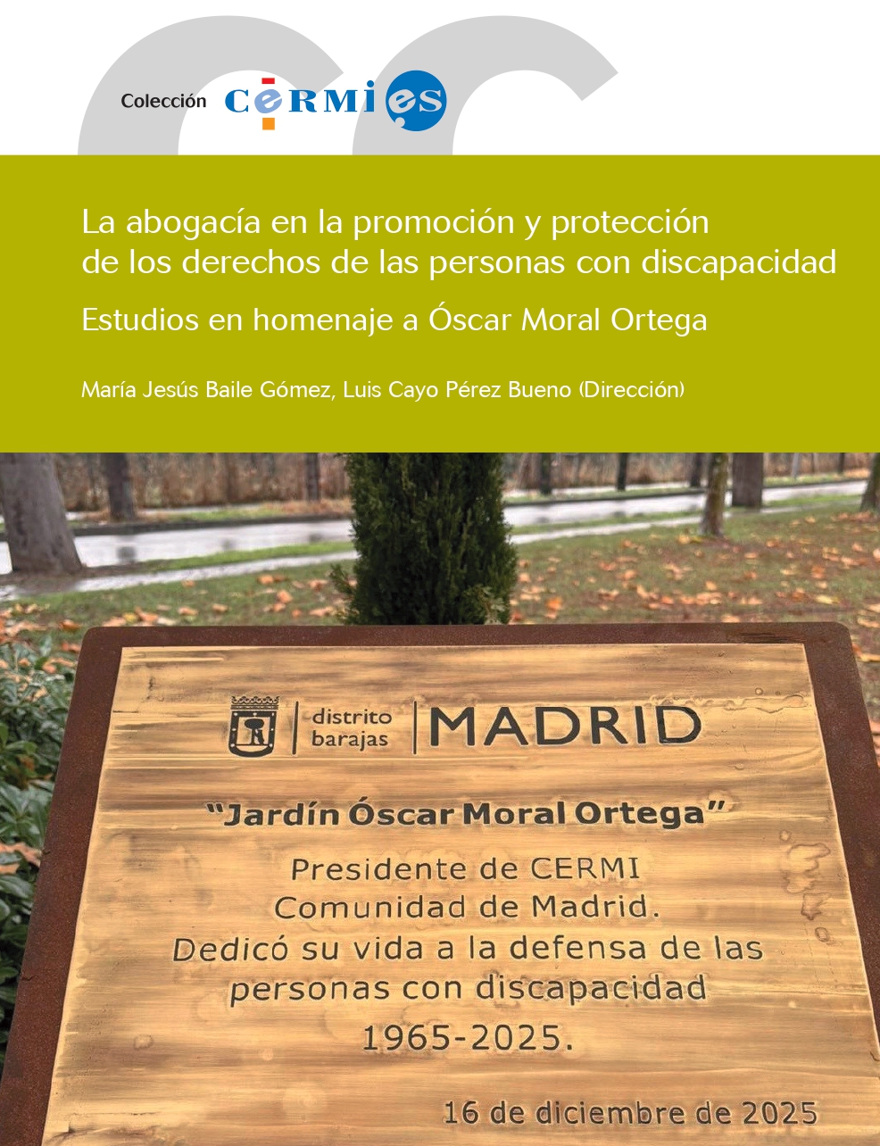 La abogacía en la promoción y protección de los derechos de las personas con discapacidad