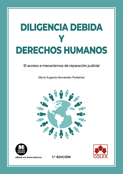 Diligencia debida y derechos humanos