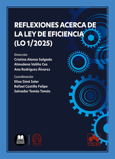 Reflexiones acerca de la Ley de eficiencia (LO 1/2025)