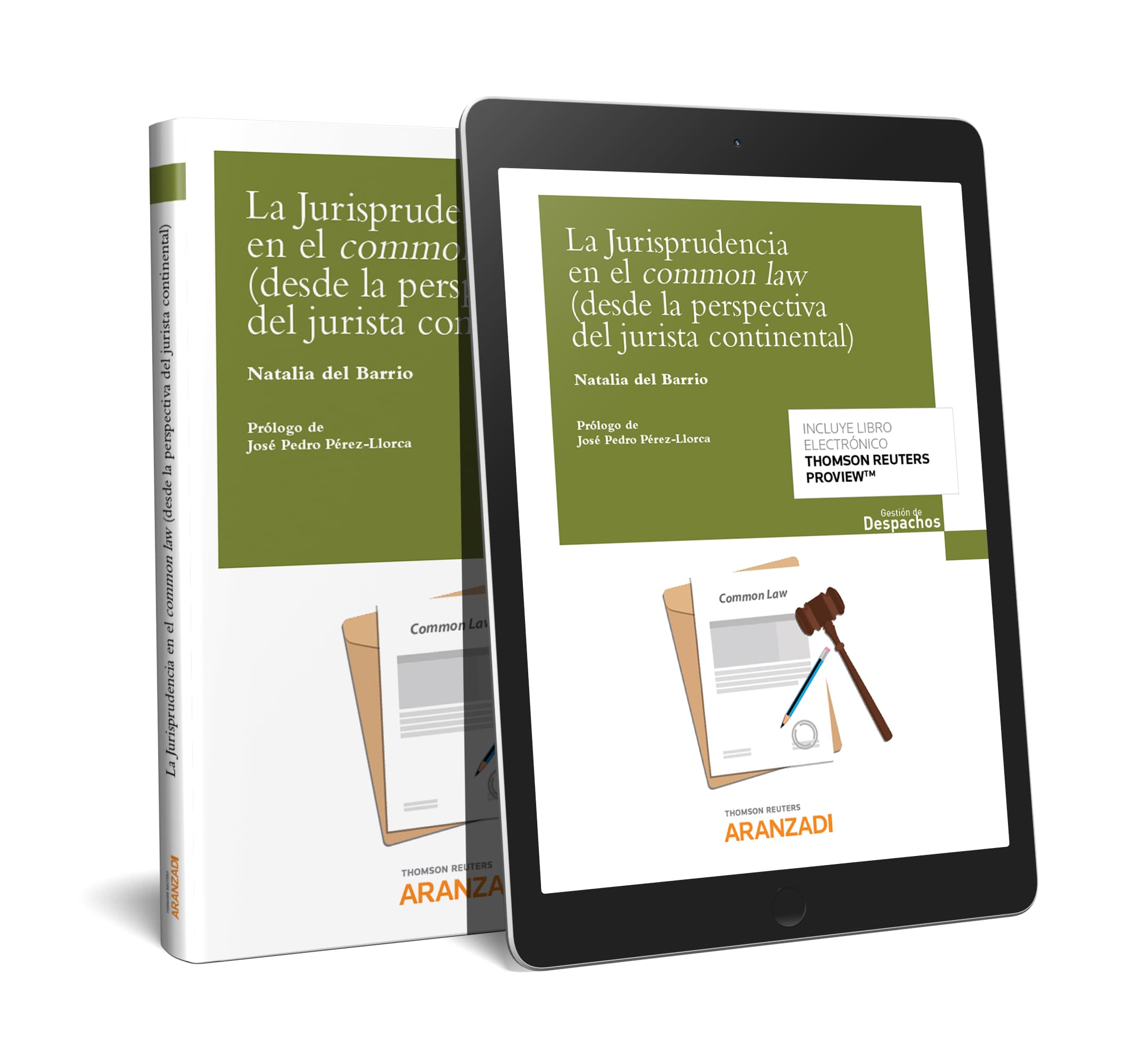 La Jurisprudencia en el Common Law (desde la perspectiva del jurista continental) (Papel + e-book)