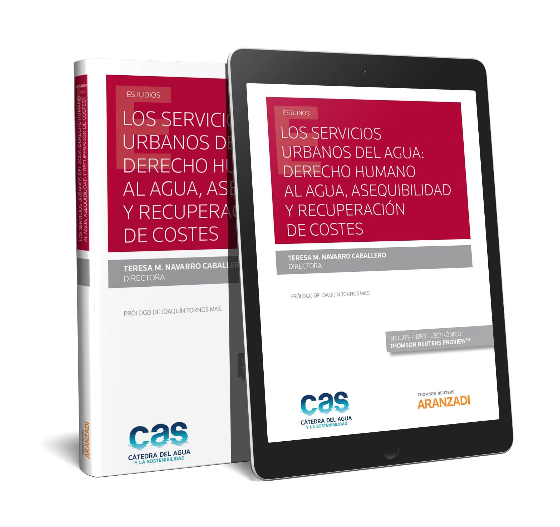 Los servicios urbanos del agua: derecho humano al agua, asequibilidad y recuperacion de costes (Papel + e-book)