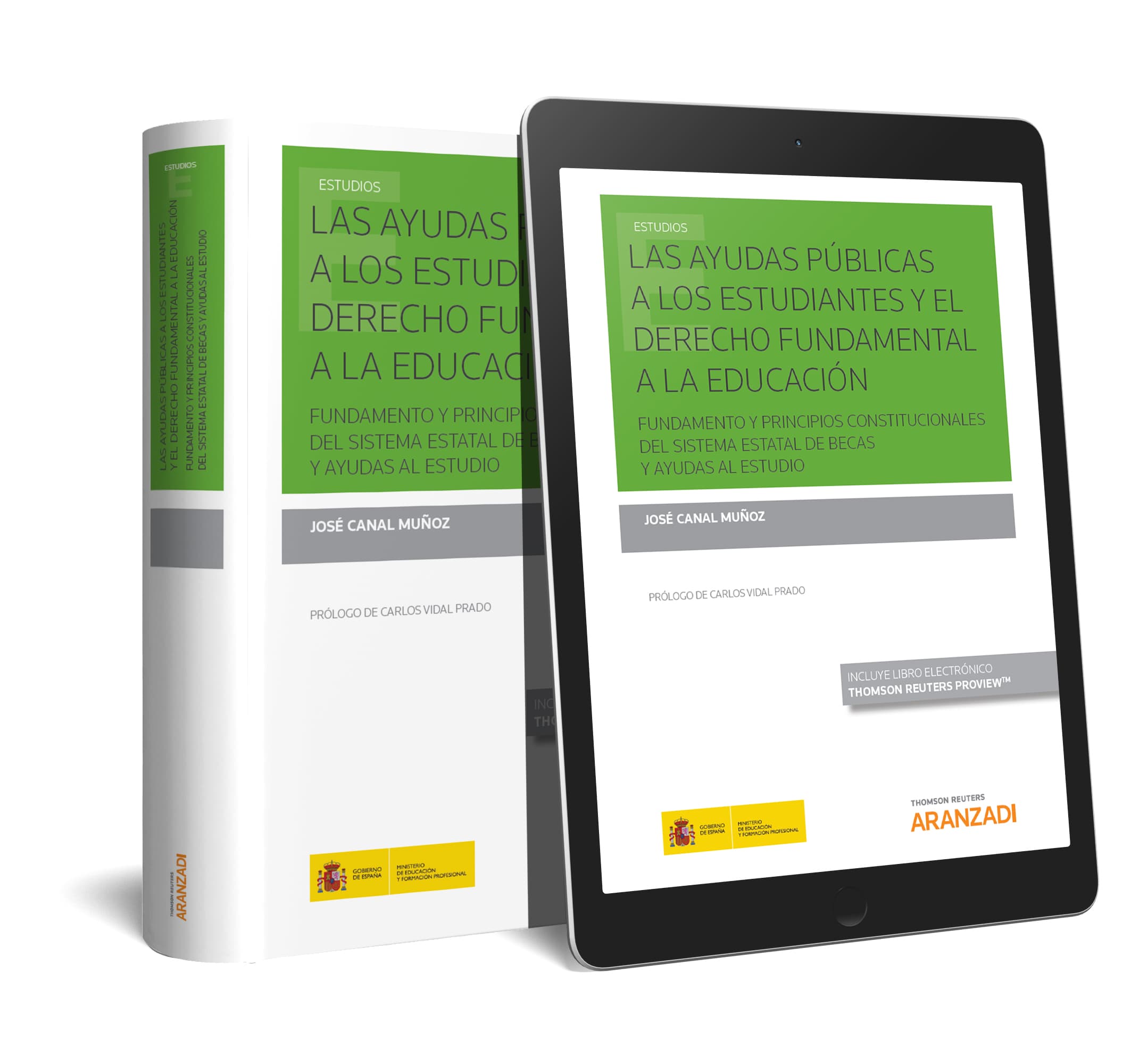 Las ayudas públicas a los estudiantes y el derecho fundamental a la educación (Papel + e-book)