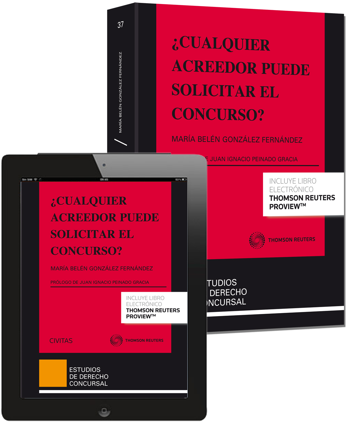 ¿Cualquier acreedor puede solicitar el concurso? (Papel + e-book)