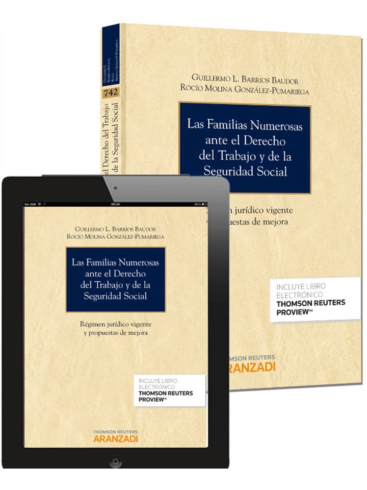 Las familias numerosas ante el Derecho del Trabajo y de la Seguridad Social (Papel + e-book)