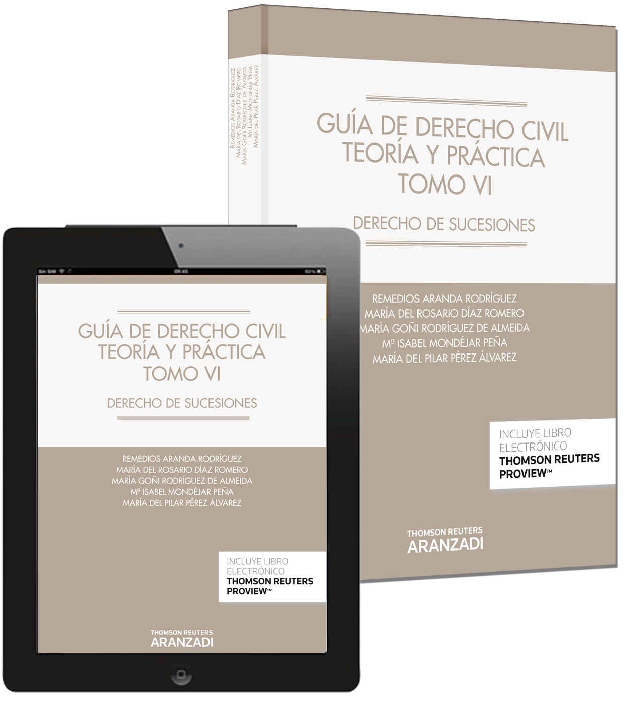 Guía de Derecho Civil. Teoría y práctica (Tomo VI) (Papel + e-book)