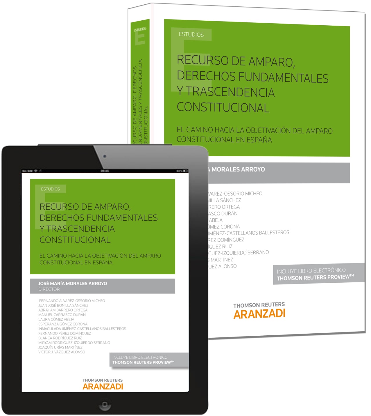 Recurso de amparo, derechos fundamentales y trascendencia constitucional (Papel + e-book)