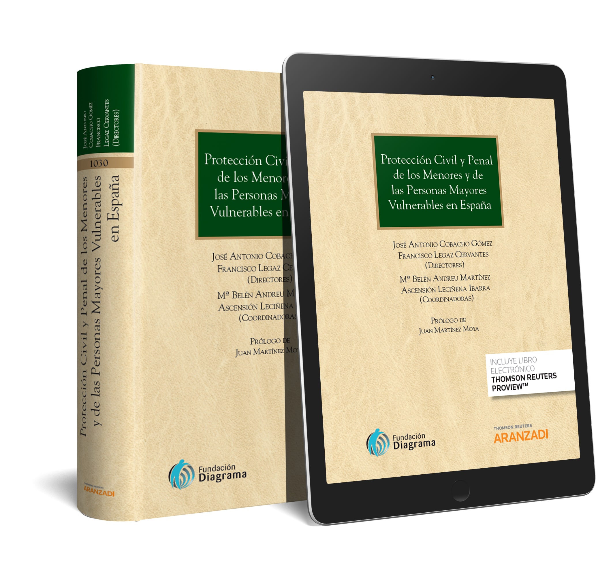 Protección Civil y Penal de los Menores y de las Personas Mayores Vulnerables en España            (Papel + e-book)