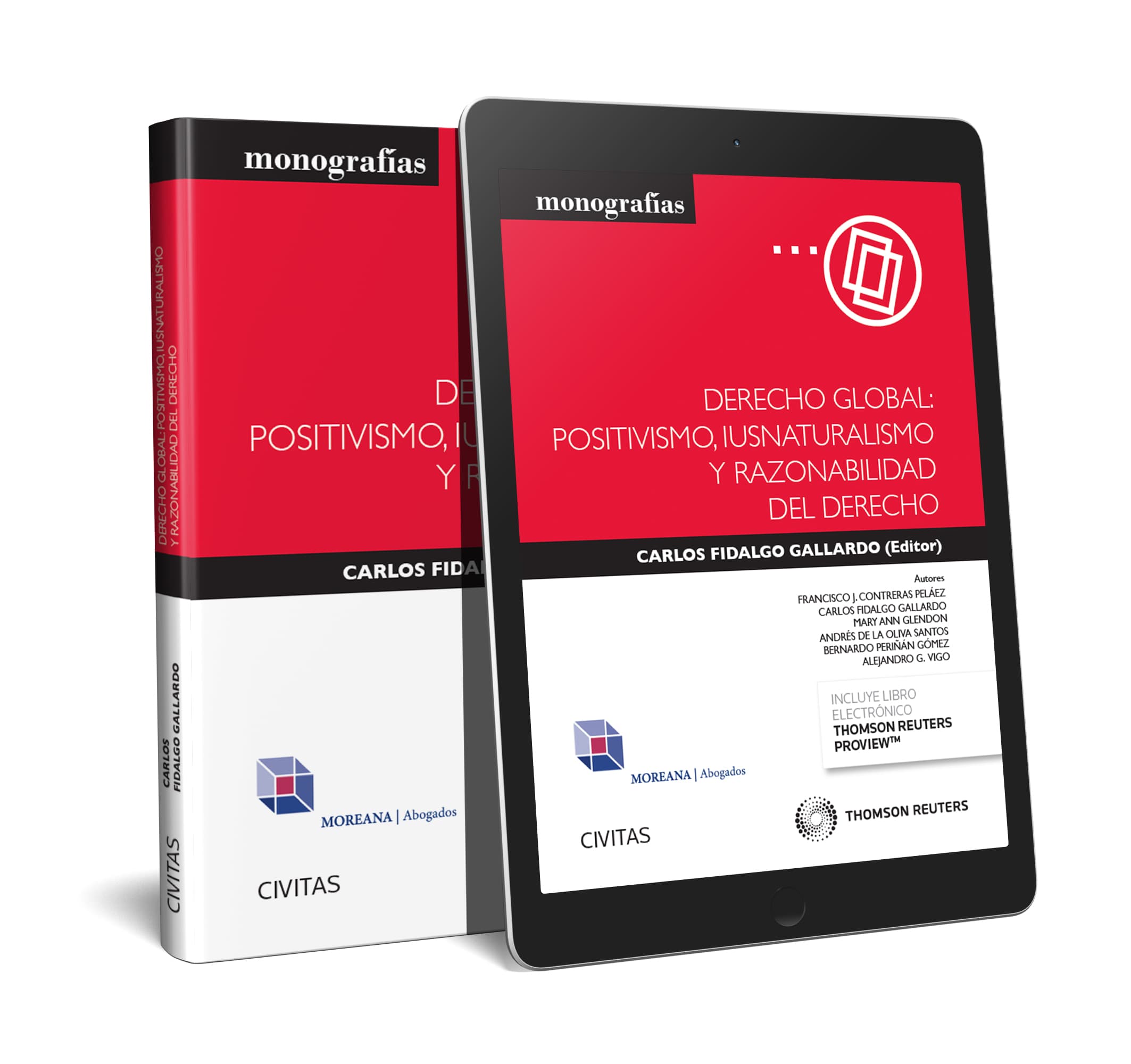 Derecho Global: Positivismo, iusnaturalismo y razonabilidad del Derecho (Papel + e-book)