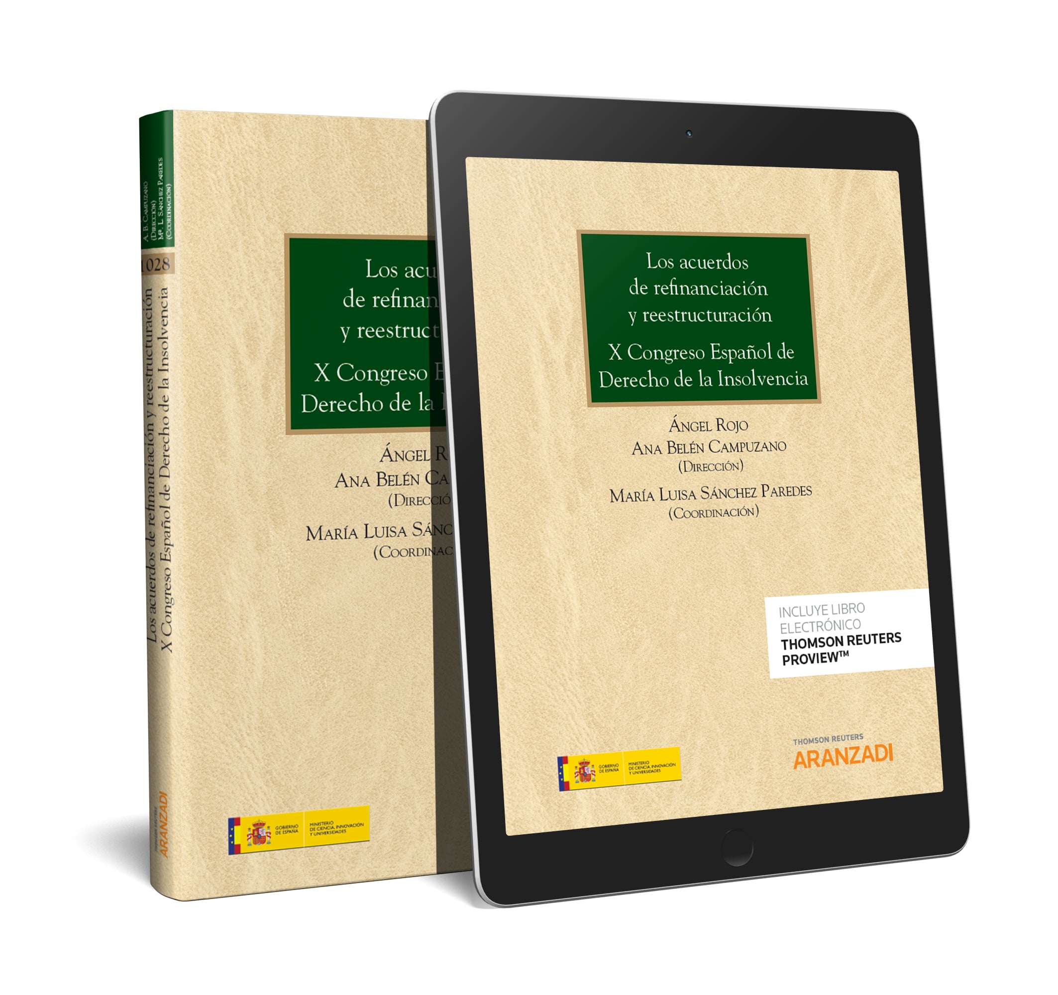 Los acuerdos de refinanciación y reestructuración. X Congreso Español de Derecho de la Insolvencia (Papel + e-book)