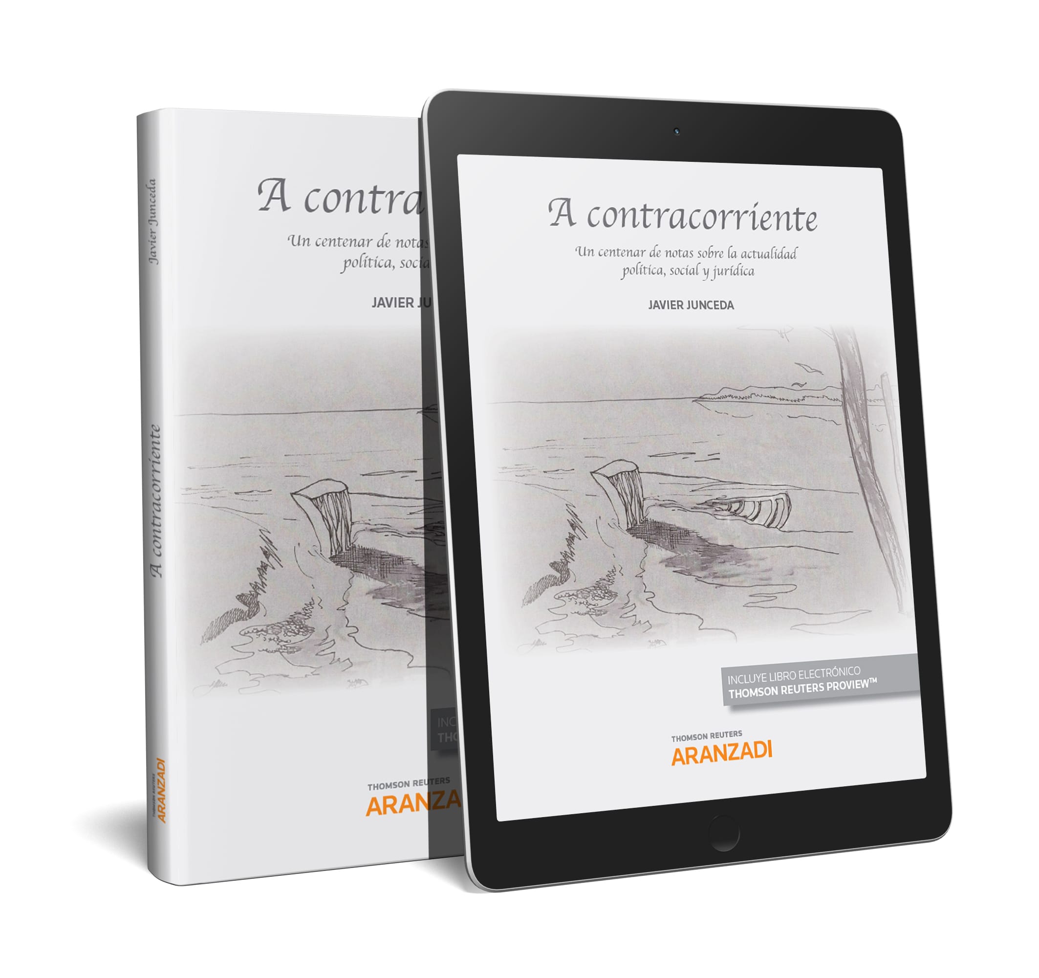 A contracorriente (Papel + e-book)