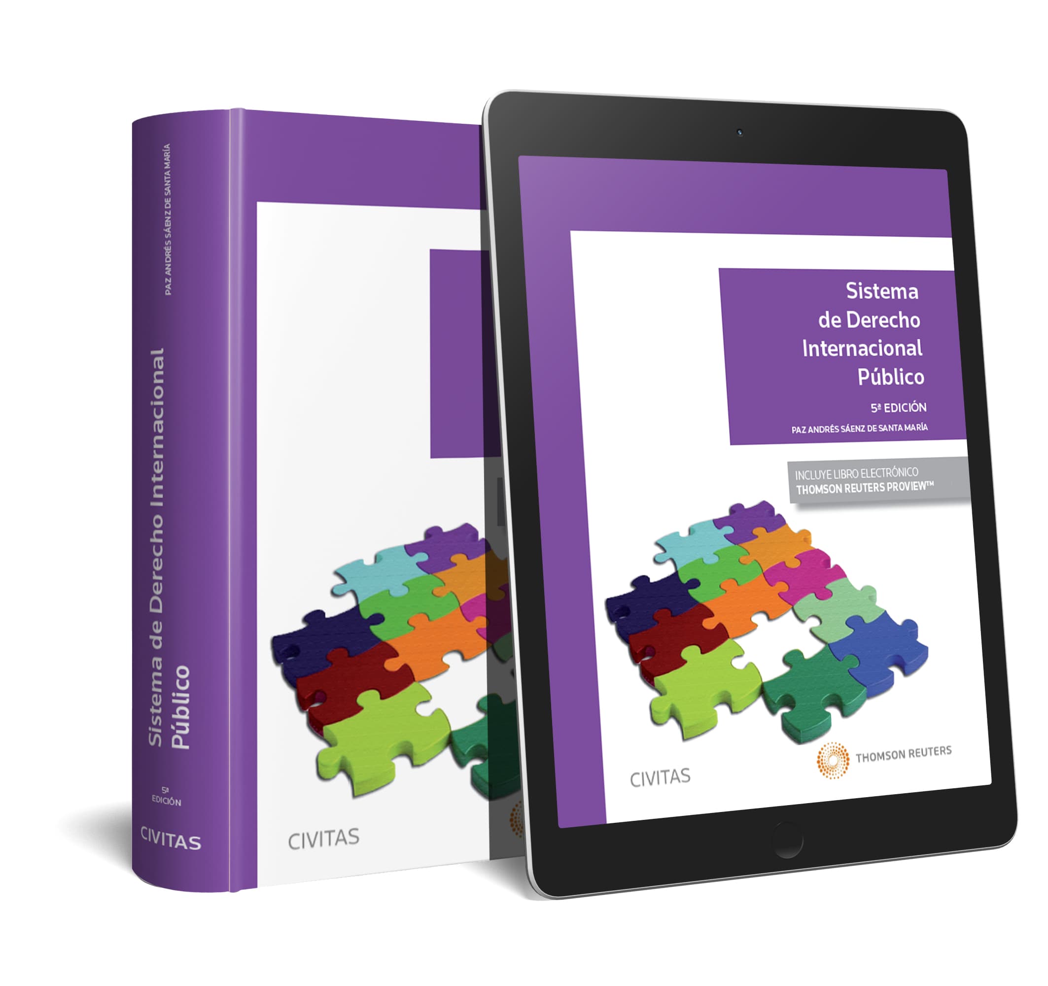 Sistema de Derecho Internacional Público (Papel + e-book)