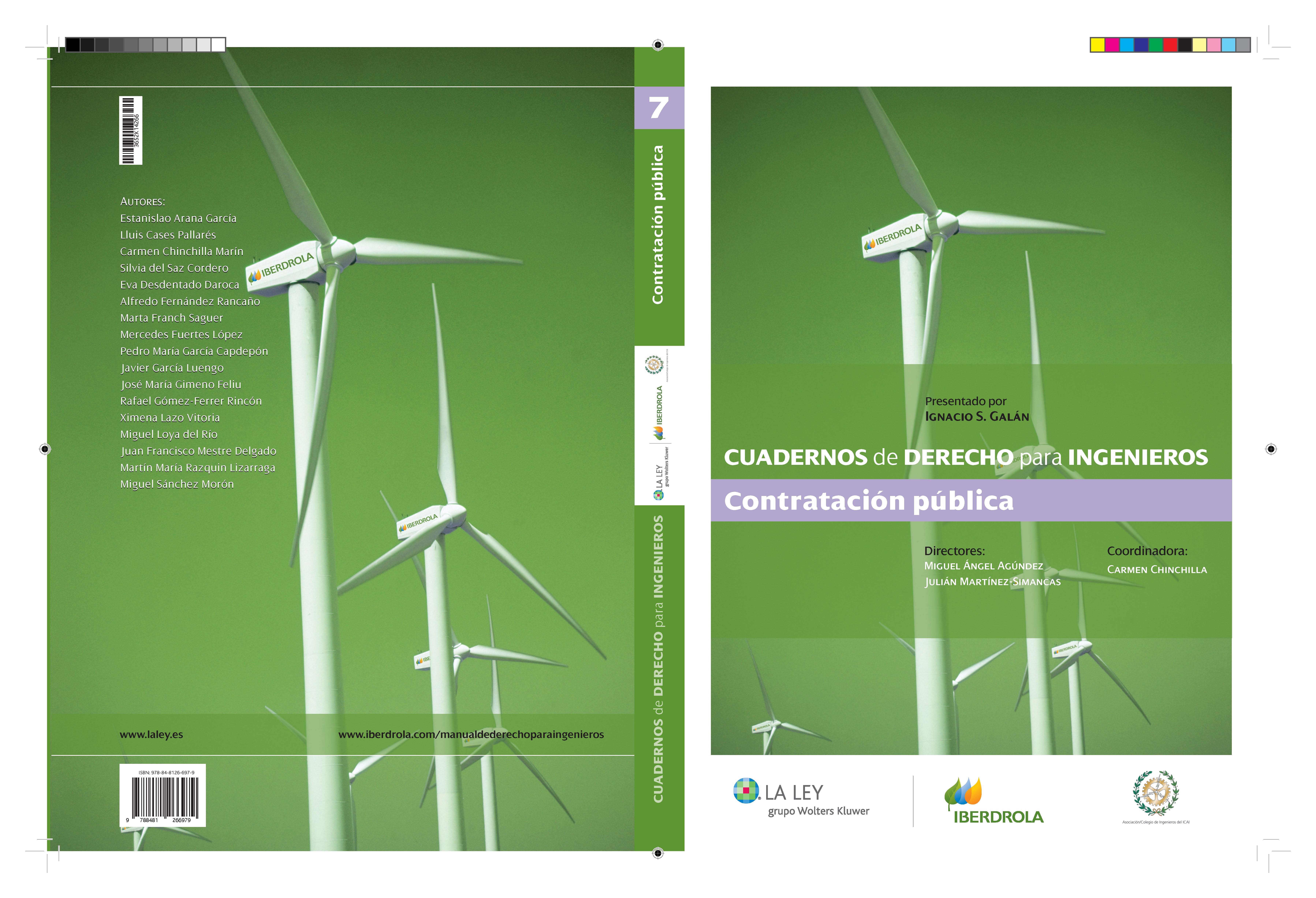 Cuadernos de Derecho para Ingenieros (n.º 07)