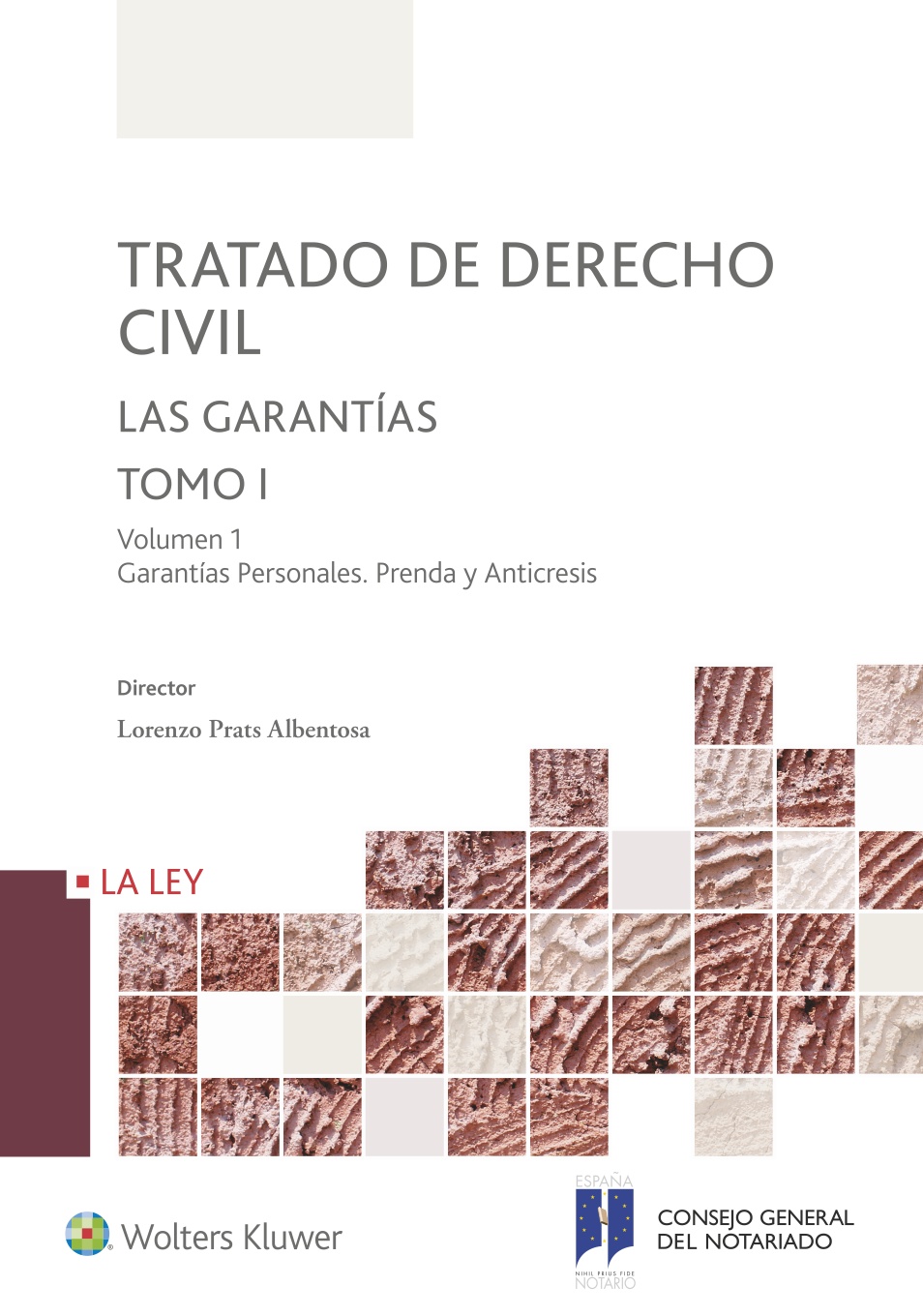 Tratado de Derecho Civil. Tomo I. Las garantías