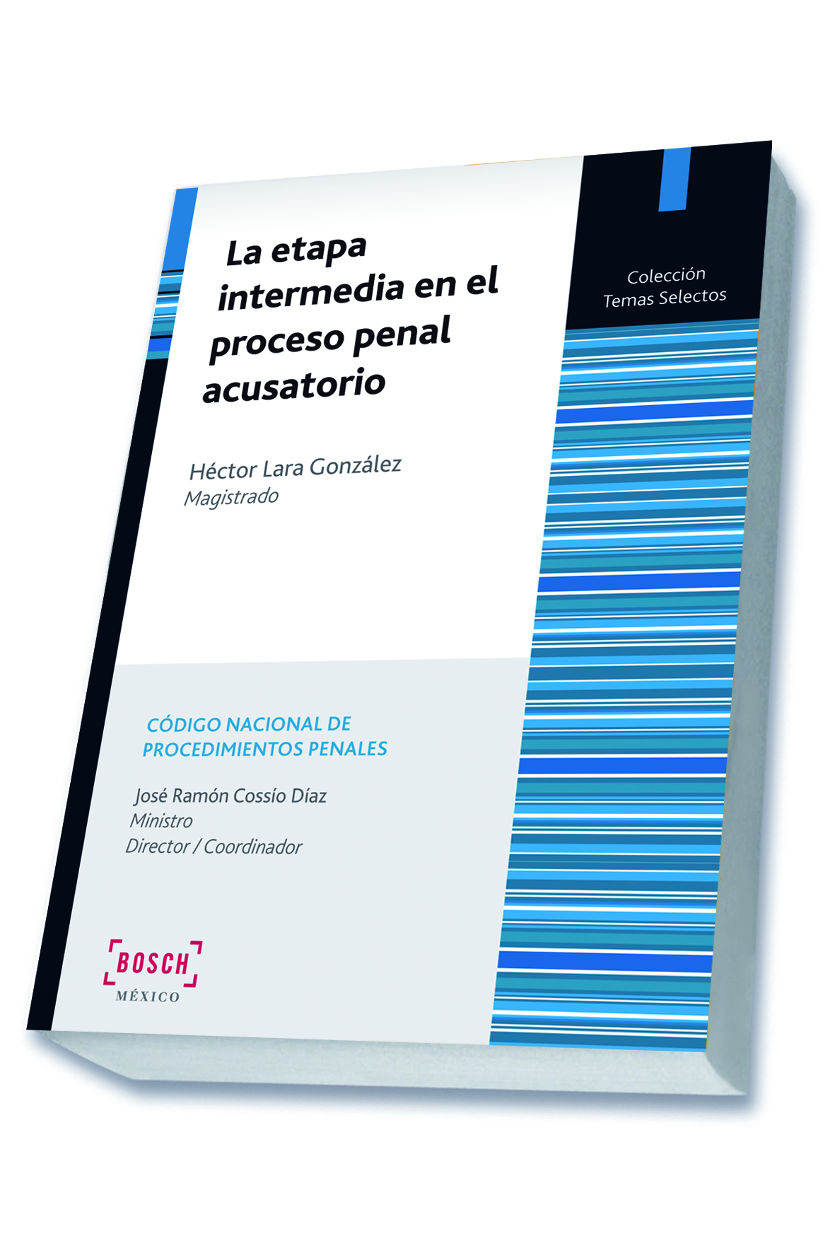 La etapa intermedia en el proceso penal acusatorio