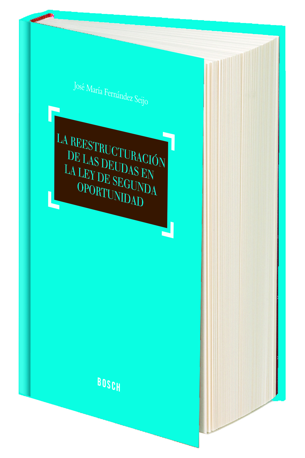 La reestructuración de las deudas en la ley de segunda oportunidad
