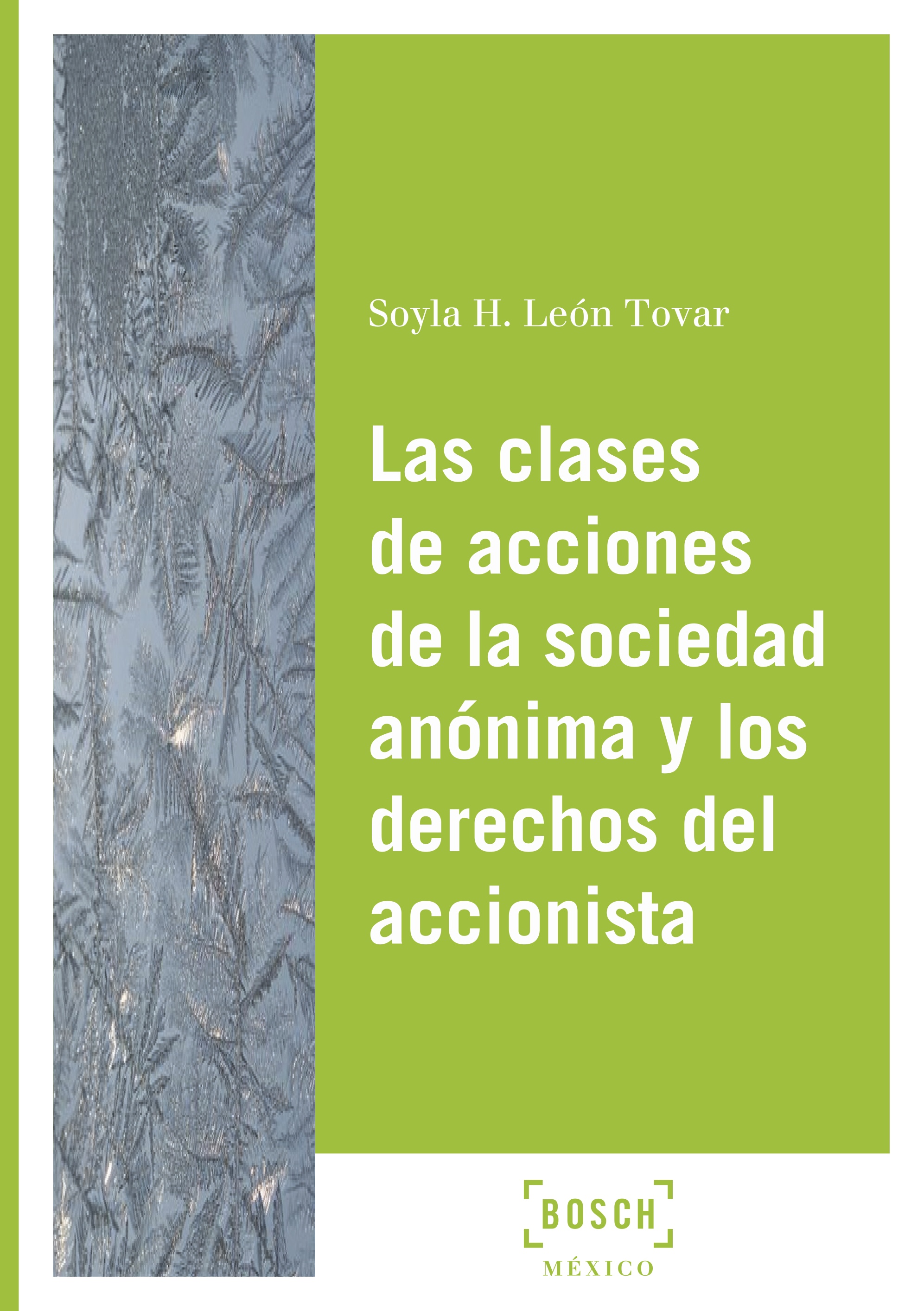 Las clases de acciones de la sociedad anónima y los derechos del accionista