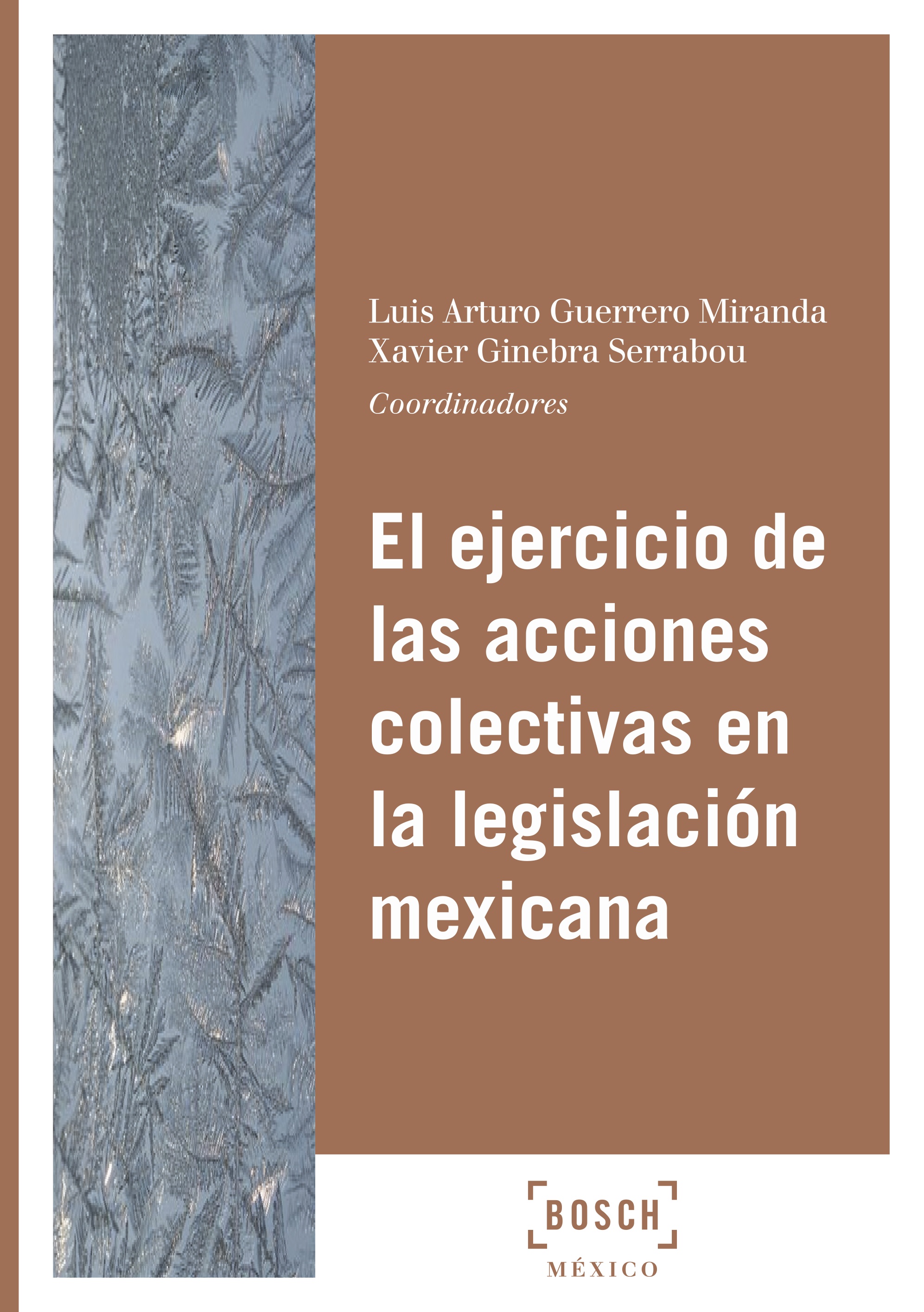 El ejercicio de las acciones colectivas en la legislación mexicana