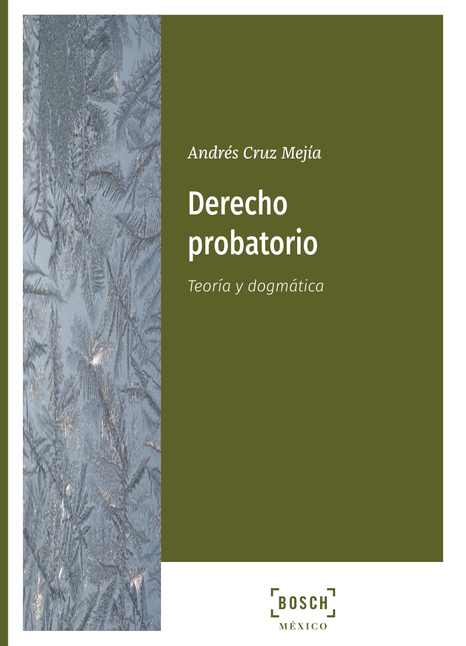 Derecho probatorio