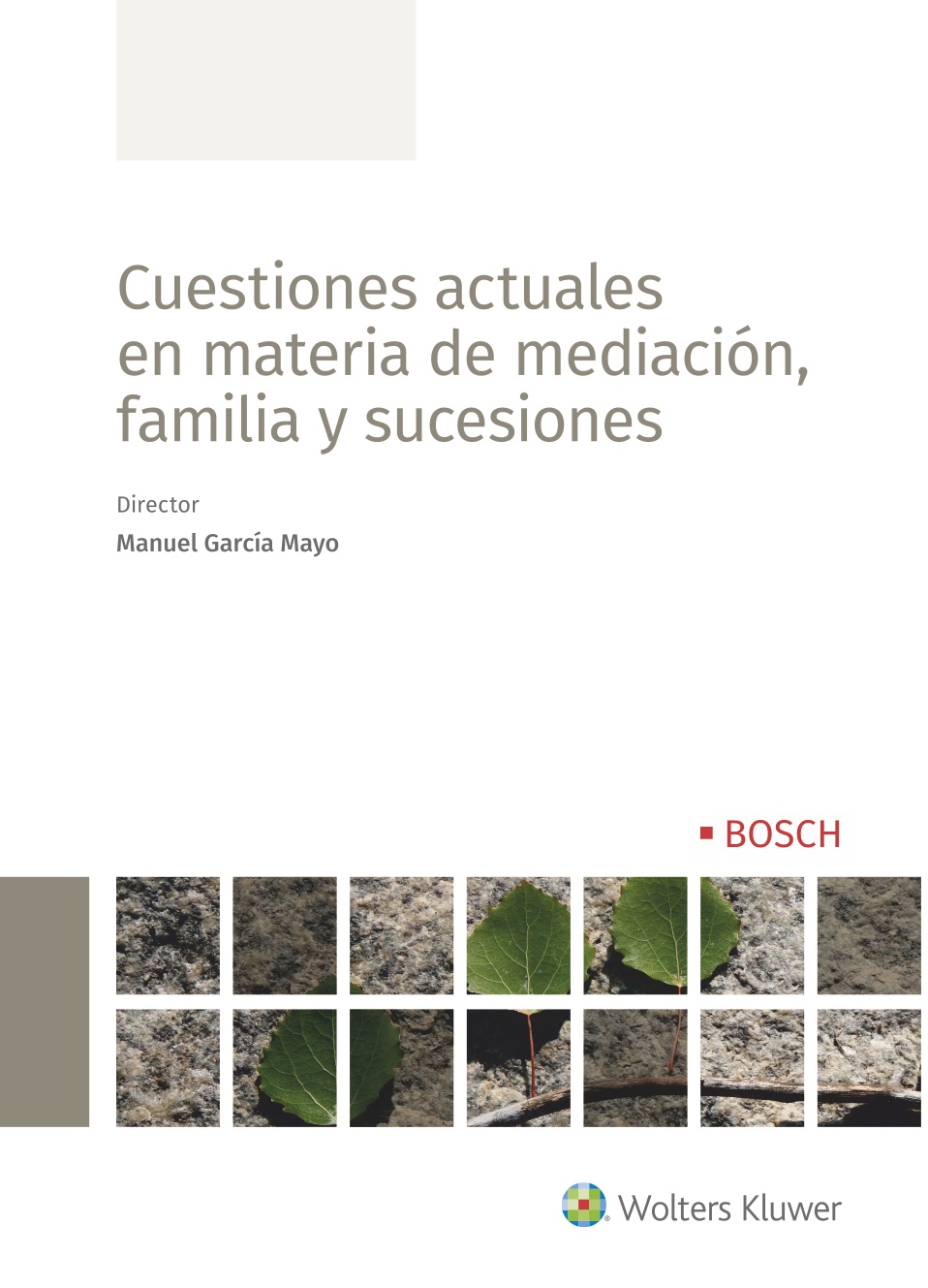 Cuestiones actuales en materia de mediación, familia y sucesiones