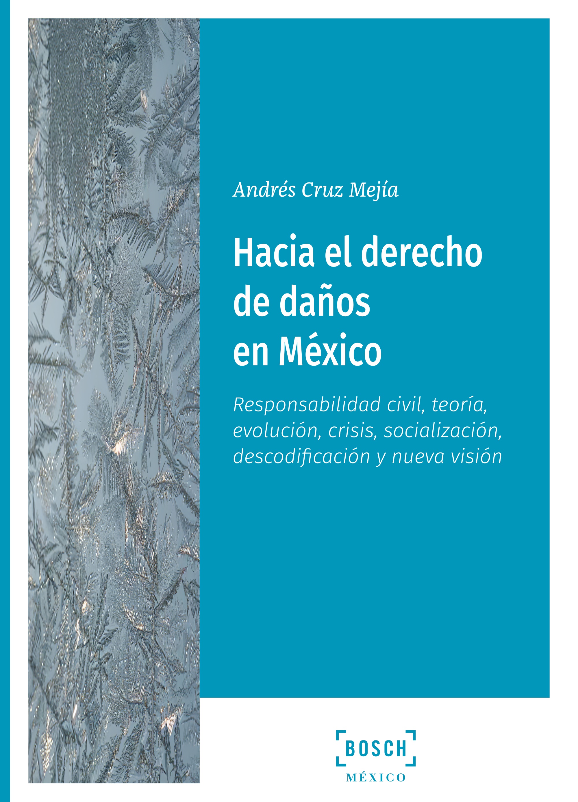 Hacía el derecho de daños en México