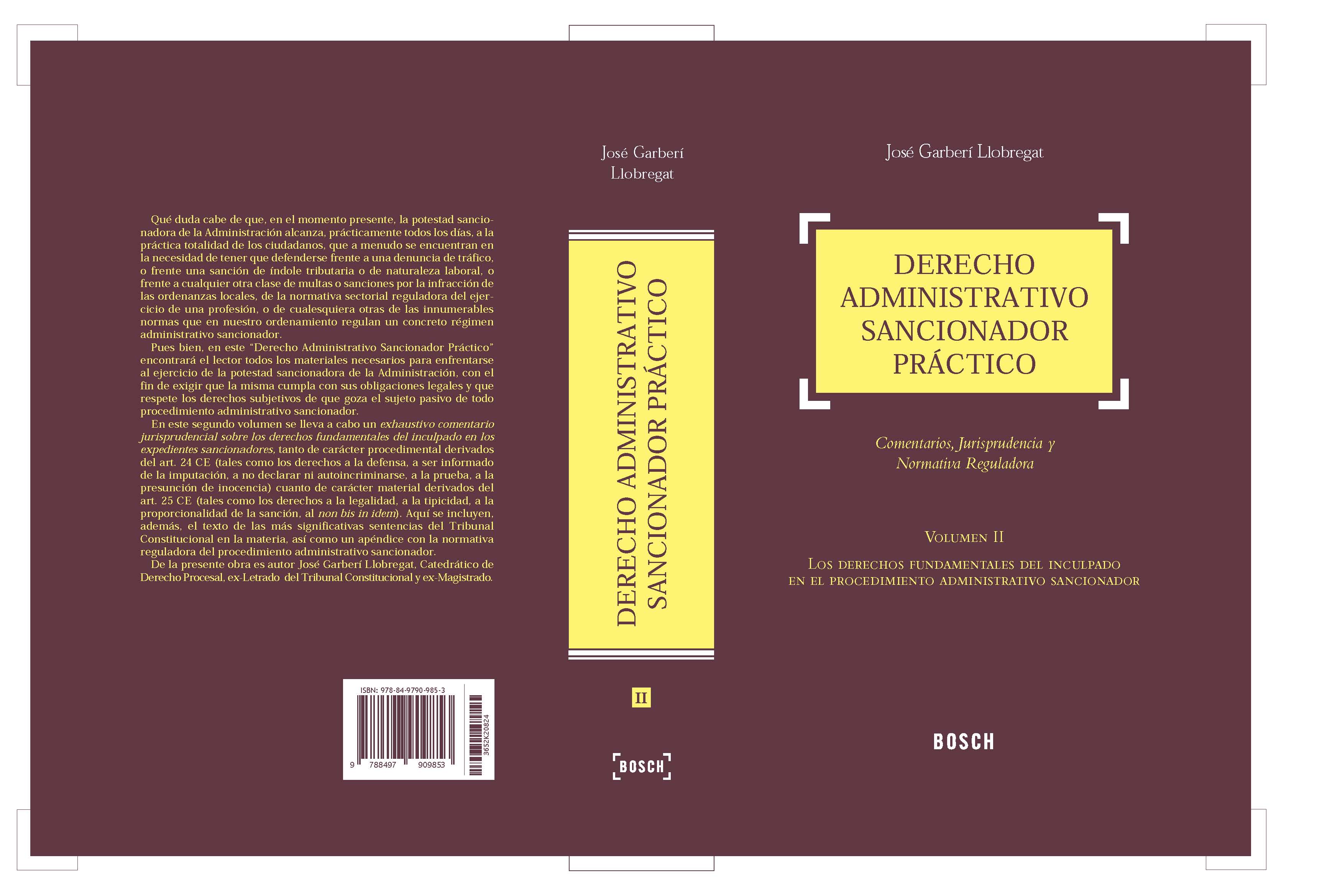 Derecho administrativo sancionador práctico Volumen II