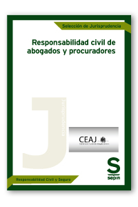 Responsabilidad civil de abogados y procuradores